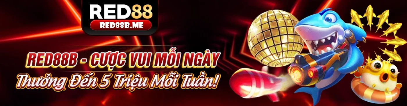 Tin tức Open88 và giải trí cá cược thể thao